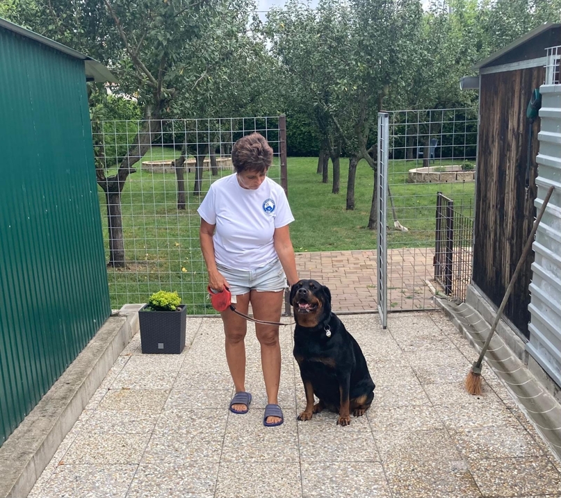 2a9b40f9-a669-4ef3-a829-73d1121178d7